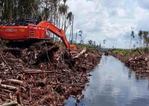 200 Ribu Hektar Lahan Gambut Riau Sedang Dikerjakan Pemrov dan Pemkab