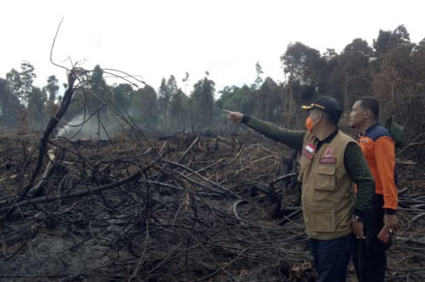 Kebakaran Hebat, Sekitar 100 Hektare Hutan Lindung Bukit Suligi Membara,  Satgas Karhutla Sudah  50 Kali Lakukan Water Bombing