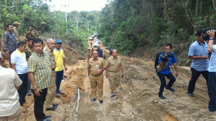 Hubungkan Riau dengan Sumbar, Gubri Tinjau Lintas Lipatkain-Lubuk Bigau, Begini Kondisinya