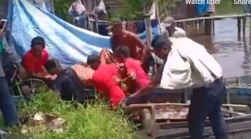 Pasang Tajur, Warga Sialang Panjang Tewas Disambar Buaya
