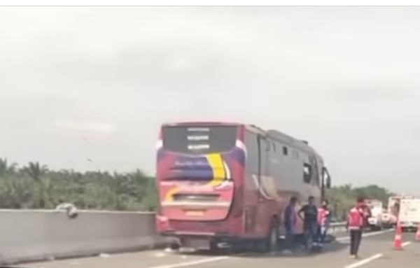 Bus Makmur dan RAPI Tabrakan di Jalan Tol Pekanbaru-Dumai