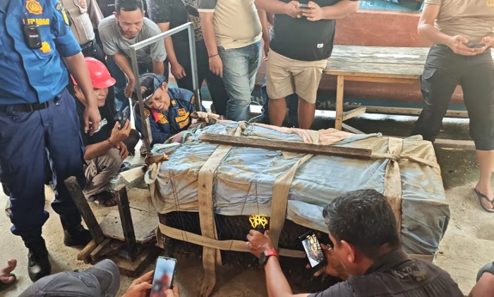 BBKSDA Imbau Warga Jangan Buru Monyet Liar Sendiri! Bisa Picu Serangan Lebih Agresif