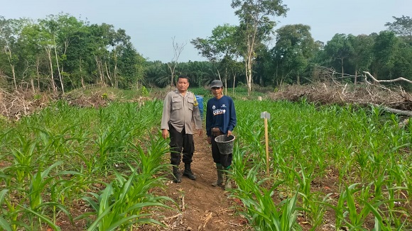 Kapolsek Kuantan Mudik Mendukung Program Swasembada Pangan Nasional 2025
