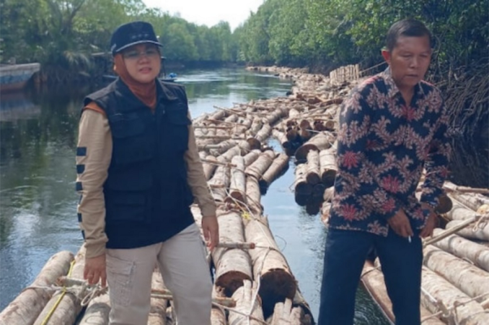 Berkunjung ke Sungai Apit, Bupati Afni Temukan Ribuan Tual Kayu Mahang Sudah Dirakit