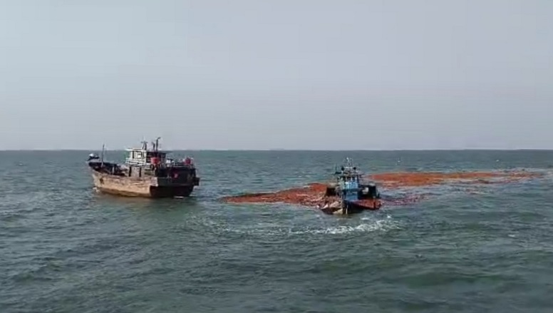 Tujuan Malaysia, Kapal Bermuatan 160 Ton Kelapa Tenggelam di Perairan Pulau Rangsang