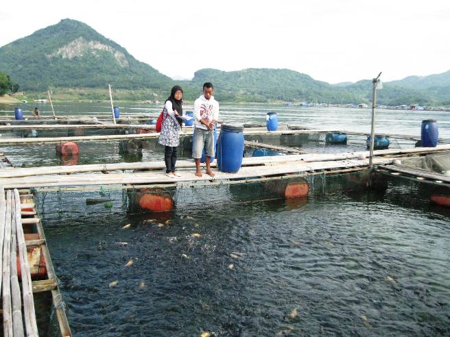 TERNYATA...Kampar Penyumbang Produksi Ikan Terbesar di Riau