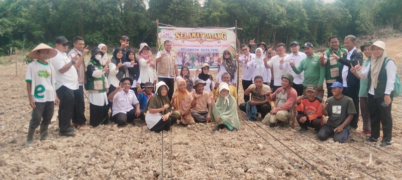Kelompok Tani Duta Tani Tanam Padi Gogo, Dorong Ketahanan Pangan di Pekanbaru