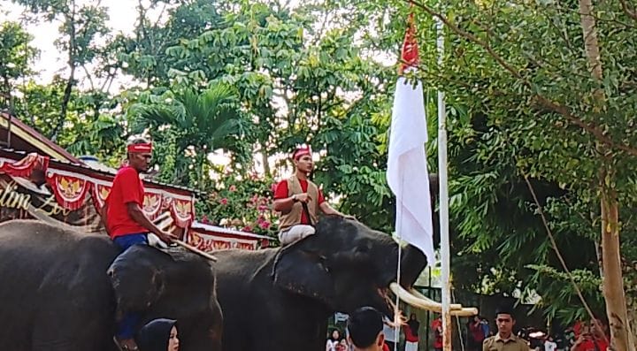 Belalai Gajah Budi dan Valenti Kibarkan Merah Putih di Kasang Kulim Zoo