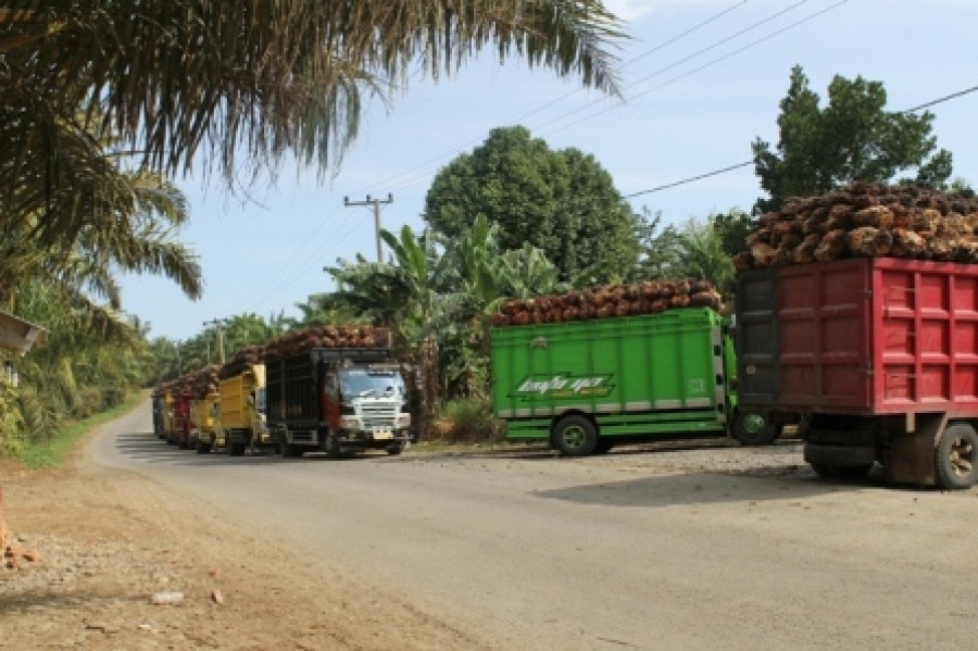 Komisi IV Sebut Ada Ribuan Kendaraan Perkebunan Lebihi Tonase di Riau