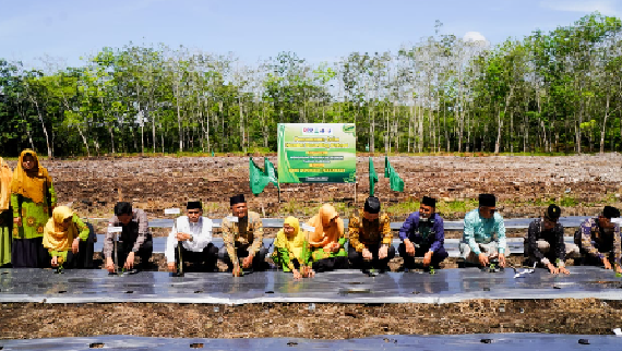 Sukseskan Program Ketahanan Pangan Nasional UMRI Pelopori Tanam Cabai di Hamka Boarding School Kampa