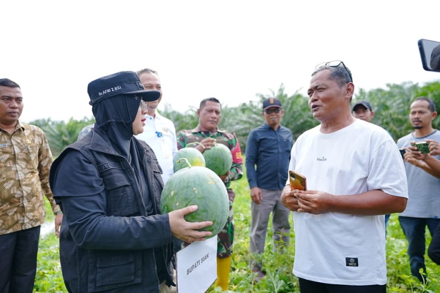 Bupati Siak Afni Apresiasi Pemanfaatan Dana Desa untuk Ketahanan Pangan