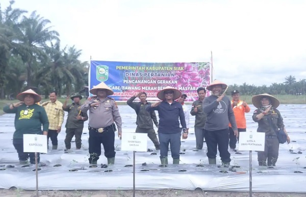 Tekan Inflasi di Daerah, Sekda Siak Ajak Masyarakat Tanam Cabe Merah