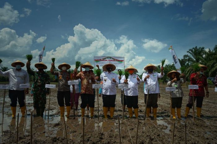 Wagubri Tanam Padi Bersama Masyarakat Desa Sungai Siput 