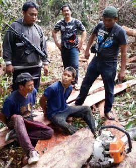 Ambil Kayu di Hutan Lindung, Polisi Amankan Pelaku Ilog di Pelalawan