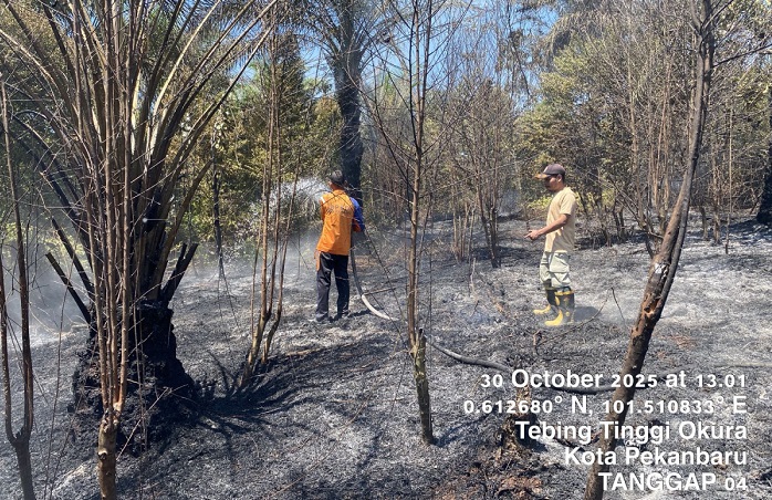 Panas Ekstrem, Tim BPBD Kota Pekanbaru Padamkan Kebakaran Lahan di Tiga Lokasi