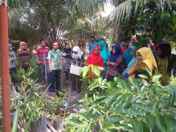 Tanjung Melawan Wakili Rohil Dalam Lomba Toga Tingkat Provinsi