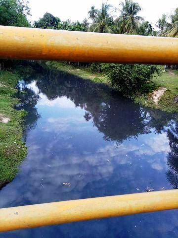 Sudah 2 Hari Tercemar, Kades Minta Perusahaan HTI Segera Bersihkan Limbah di Sungai Paku