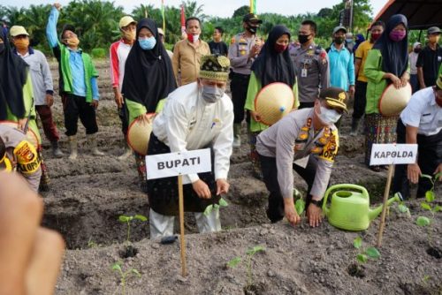 Dicanangkan Kapolda, Bupati Siak: Program Jaga Kampung Wujudkan Kampung Tangguh Covid -19