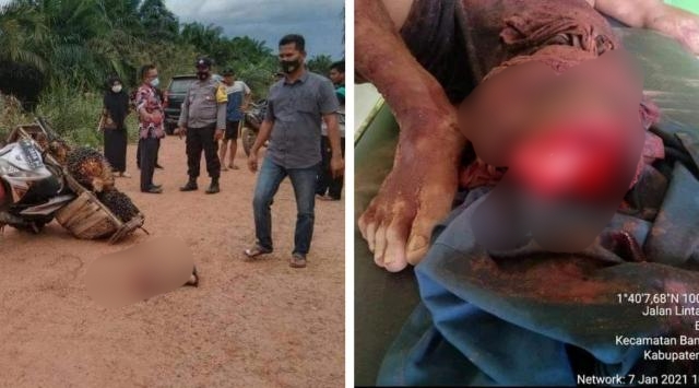 Ngeri! Diduga Melakukan Pencurian Buah Sawit, Kaki Warga Rohil Putus  Ditebas