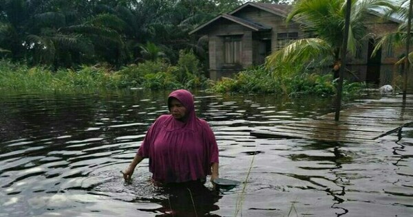 Terus Diguyur Hujan Lebat, 4 Kampung di Sungai Apit-Siak Terendam Banjir