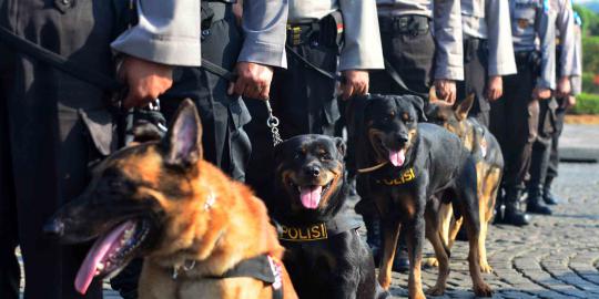 Hendropriyono Siapkan 150 Ekor Anjing Terlatih, Demokrat: Untuk Serang Warga yang Aksi Damai?