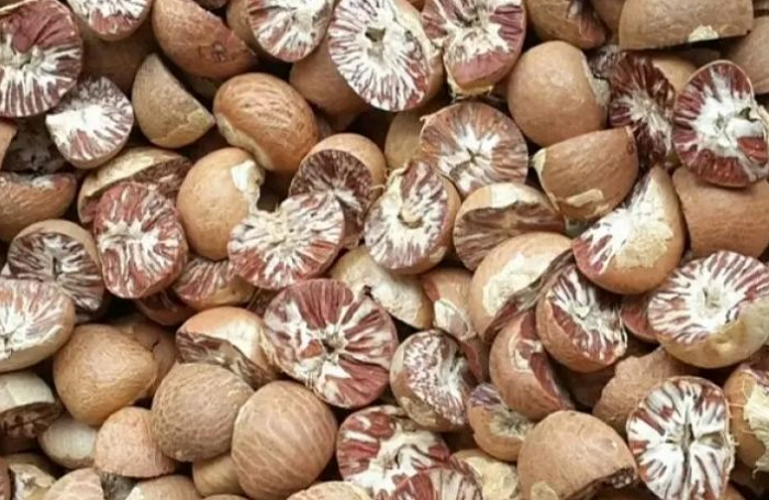 Harga Pinang Kering di Riau Minggu ini....