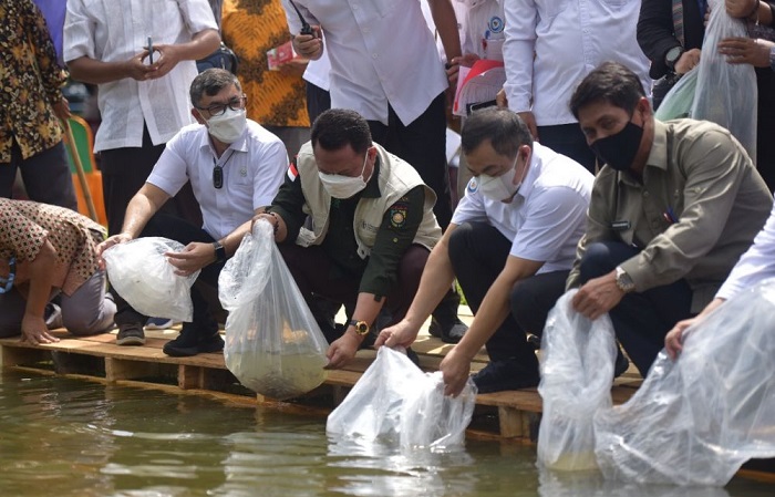 Sekjen KKP dan Bupati Kampar Restocking Bibit Baung dan Semah di Kuok