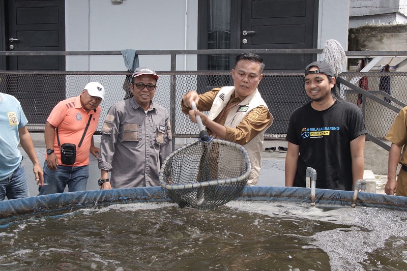 Kepala DKP Pekanbaru Cek Langsung Potensi Ikan Air Tawar di Tuah Madani