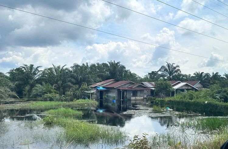 Sudah 4.686 KK di Riau Terdampak Banjir, Begini Kondisinya...