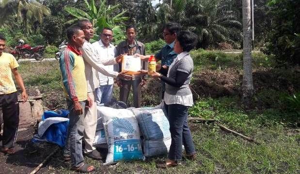 Disbun Kepulauan Meranti Salurkan Bantuan Bibit Kopi Liberika