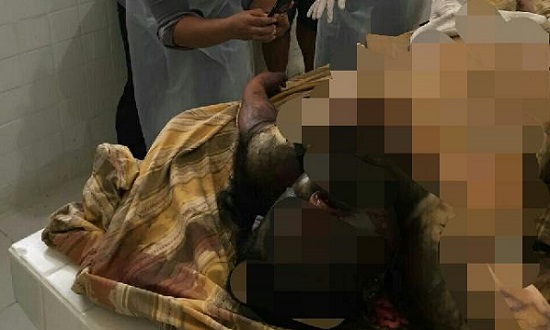 Bayi Terbaring Lemas di Samping Tubuh Ibunya yang Sudah Kaku dan Membusuk di Pangeran Hidayat