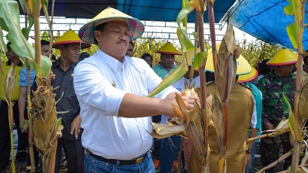 Bupati Morut Meninggal di RS Rujukan Corona, Pemda Sulteng Tunggu Hasil Swab