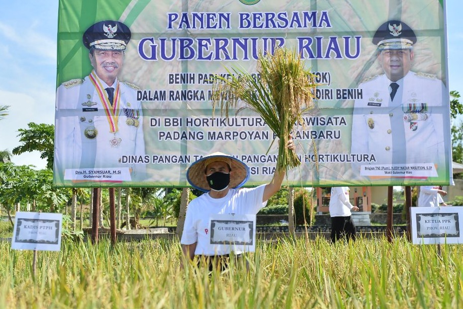 Riau Peringkat I NTP Tertinggi di Sumtera, Gubri: Semoga Bisa Dipertahankan dan Ditingkatkan
