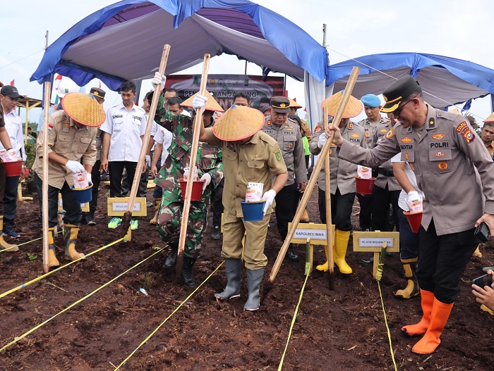 Pemkab Inhil Berpartisipasi dalam Kegiatan Penanaman Jagung Serentak 1 juta hektare