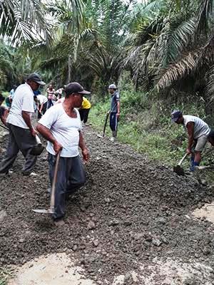 LUAR BIASA... Lewat Program DMIJ, Nasib Petani Sawit di Desa Batu Ampar Kini Berubah