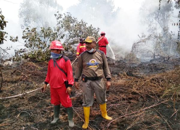 Puluhan Hektar Areal Perkebunan PT Sumber Sawit Sejahtera Terbakar, Petugas Masih Berjibaku Padamkan Api