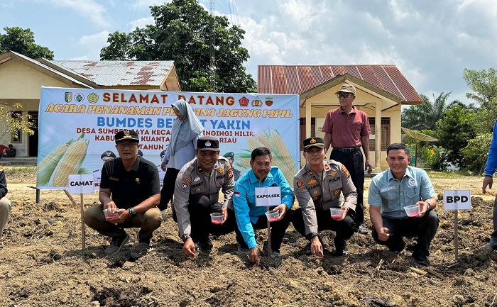 Polres Singingi Hilir Dukung Penanaman Jagung Pipil di Desa SUmber Jaya