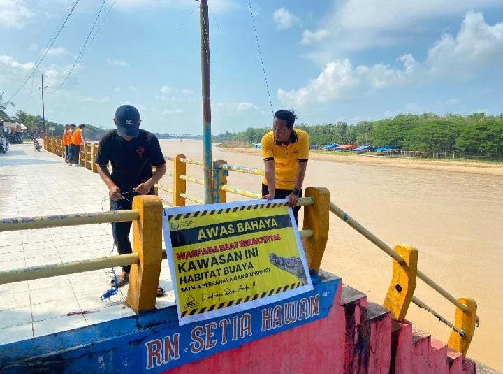 Awas Buaya! Polisi Pasang Spanduk Peringatan di Arena Pacu Jalur Tepian Lubuak Sobea