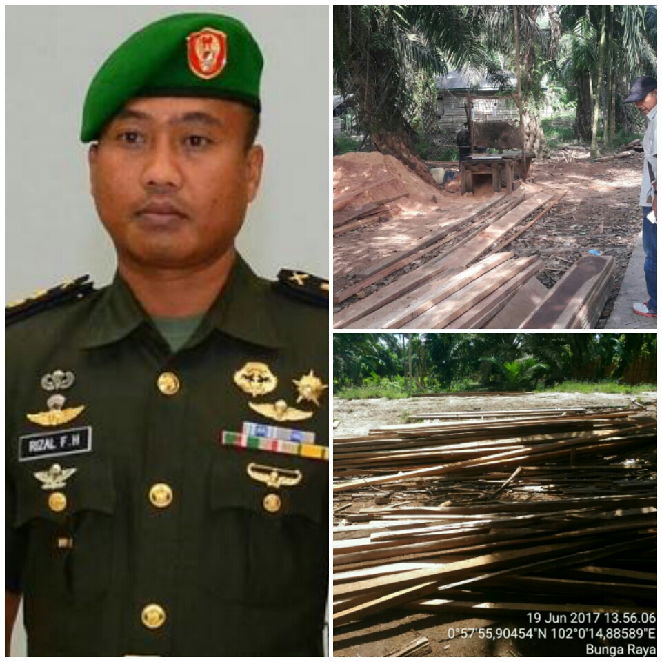 Diamankan TNI, Sawmill di Siak Ini Olah Puluhan Ton Kayu dari Hutan Lindung Bunga Raya