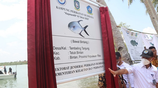 Kementerian Kelautan Canangkan Lima Kampung Perikanan Budidaya, Ini Dia....