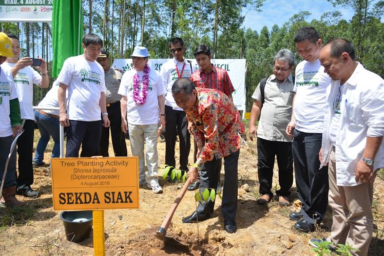 Sekda Siak Tanam Pohon di Acara Program Restorasi dan Perlindungan Lanskap Giam Siak