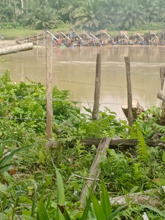 Terpantau 80 unit Lebih Peti Beroperasi di Aliran Sungai Kuantan