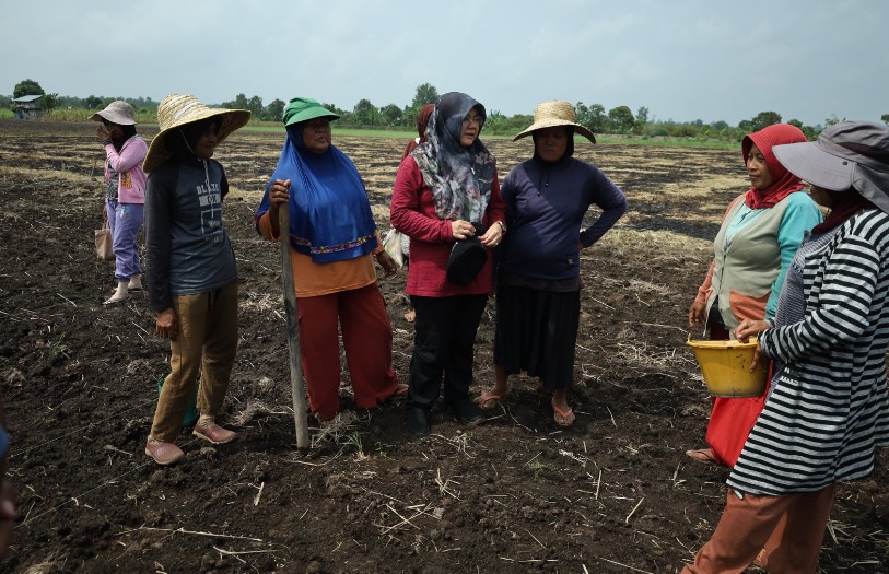 Petani Teluk Lanus Keluhkan Irigasi, Ratusan Hektare Lahan Tak Bisa Digarap