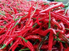 Kenaikan Harga Cabai Merah Picu Inflasi