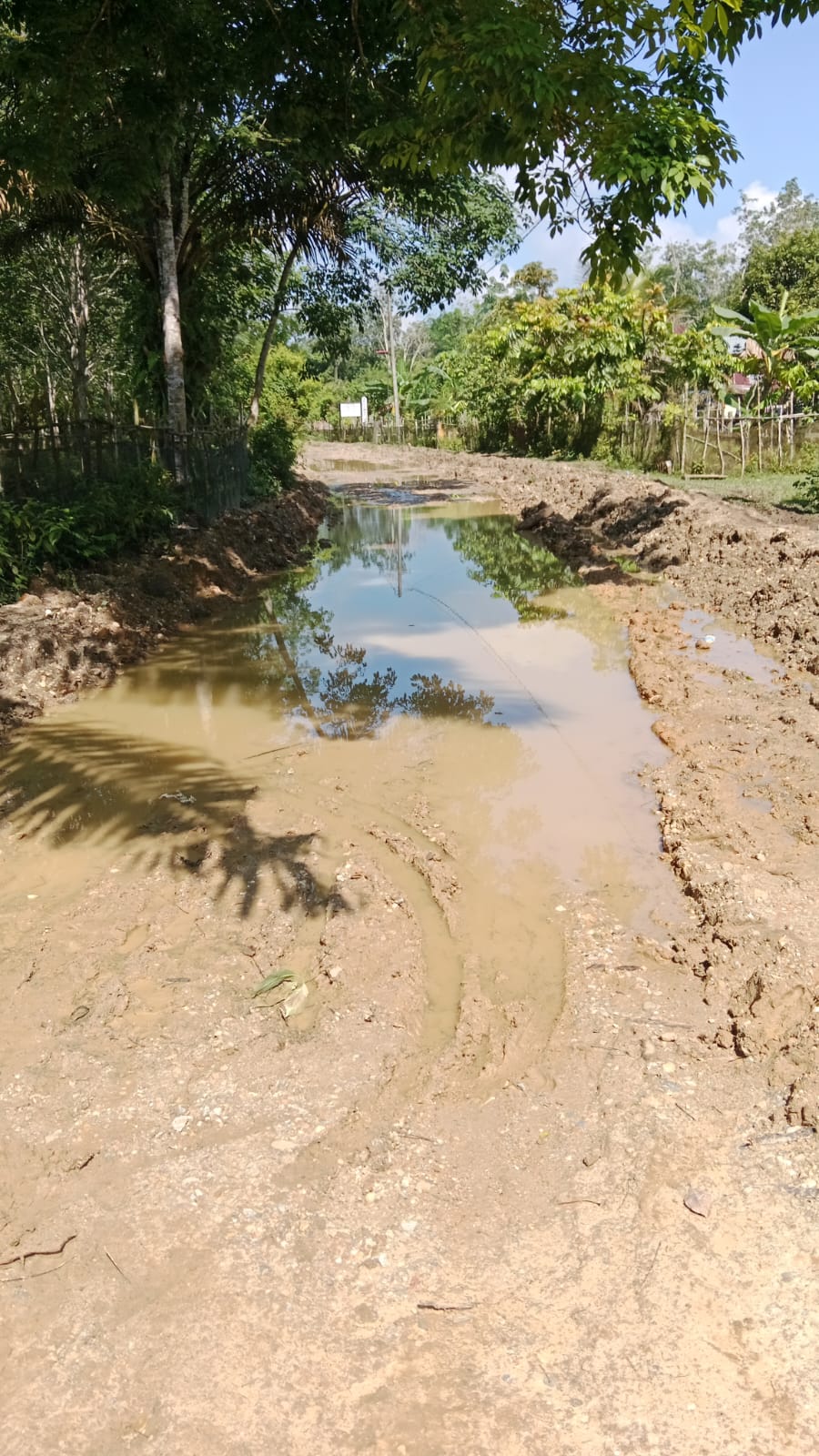 Masyarakat Banjar Lopak Kecamatan Benai Nikmati Jalan Kubangan Kerbau Sepanjang 500 Meter