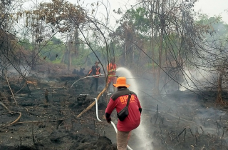 Hujan Bantu Atasi Karhutla di Rohil