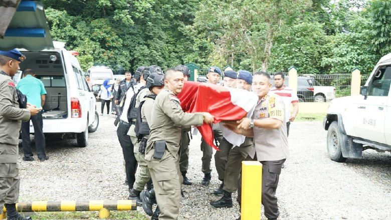 Tragis! Anggota Brimob Bripka Desri SahroniTewas Digigit Ular Death Adder Saat Patroli di Mimika Papua