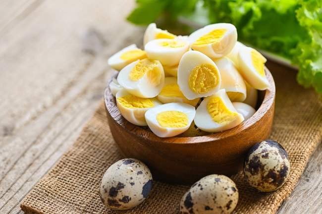 Manfaat Telur Puyuh yang Jarang Diketahui
