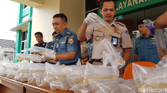 Dibawa dari Jambi, TNI AL Gagalkan Penyelundupan 10 Ribu Bayi Lobster Senilai Rp 1,5 Miliar di Riau