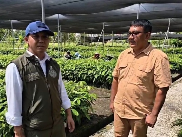 Rehabilitasi Dimulai, Bukan Sawit, Ini Jenis Tanaman Yang Akan Ditanam Pemerintah di TNTN